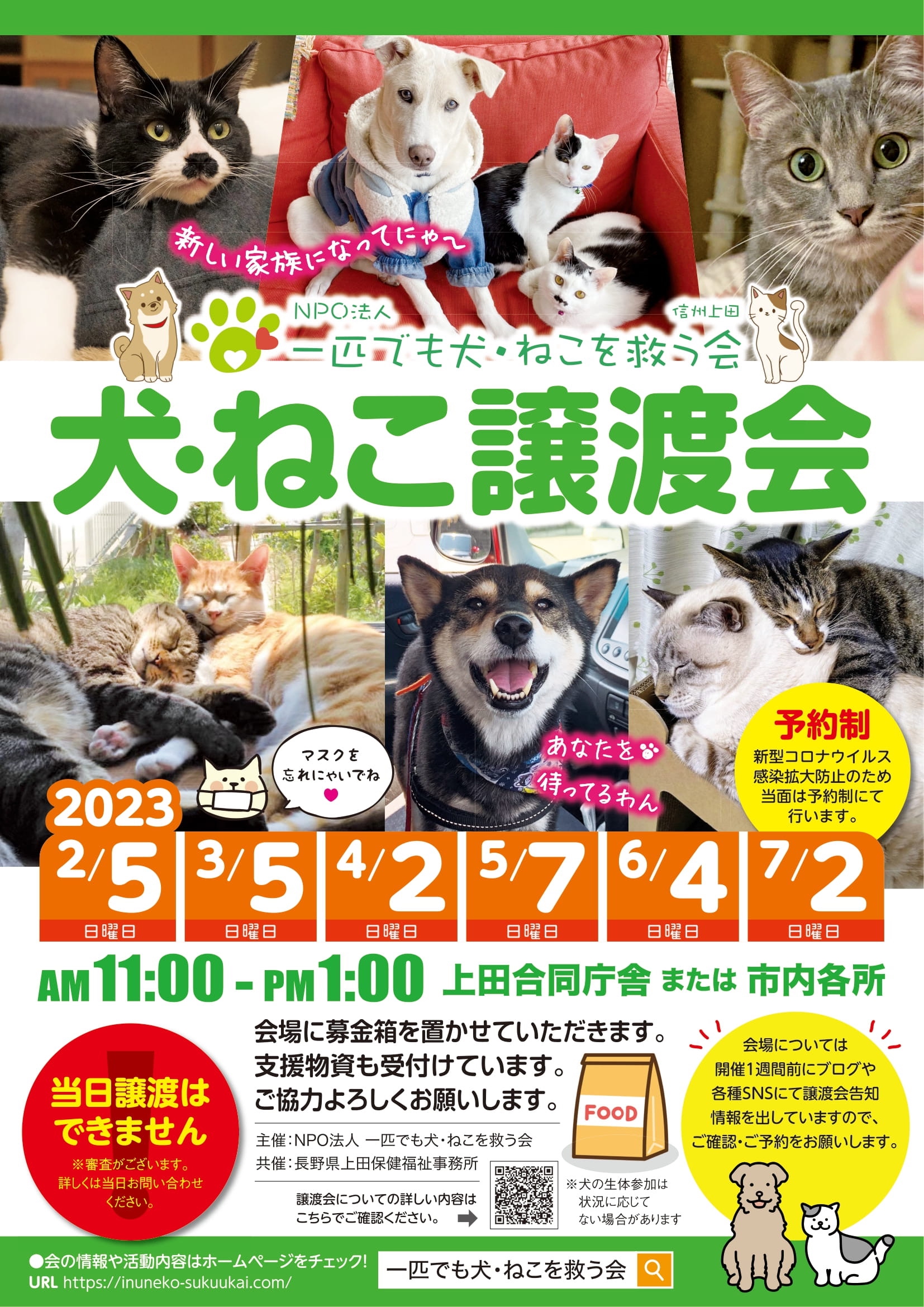 2023年2月5日 譲渡会開催します♪♪♪ | NPO法人 一匹でも犬・ねこを救う会