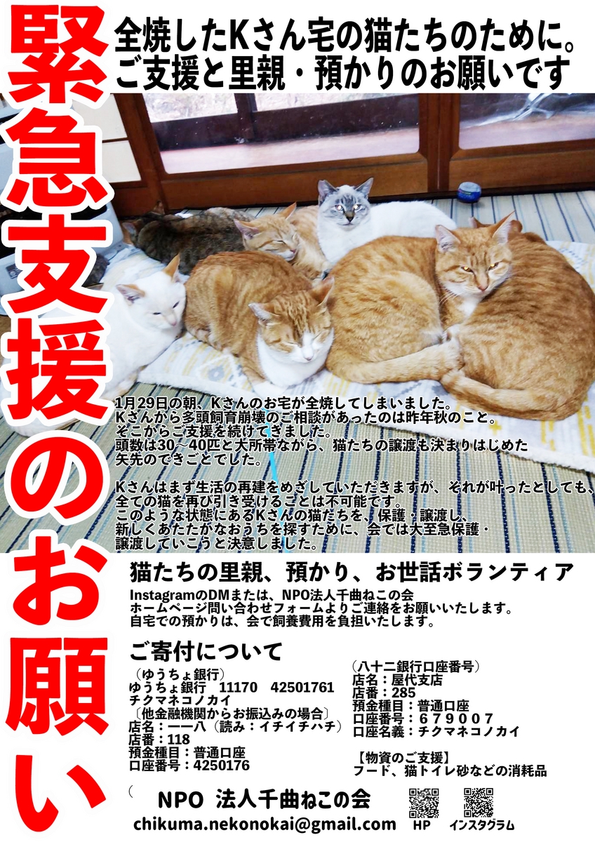 NPO法人千曲ねこの会】より緊急支援のお願い！ | NPO法人 一匹でも犬・ねこを救う会