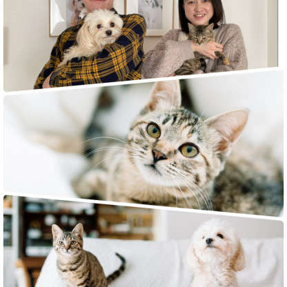 22年3月 譲渡 ご支援物資 ご寄付報告 一匹でも犬 ねこを救う会