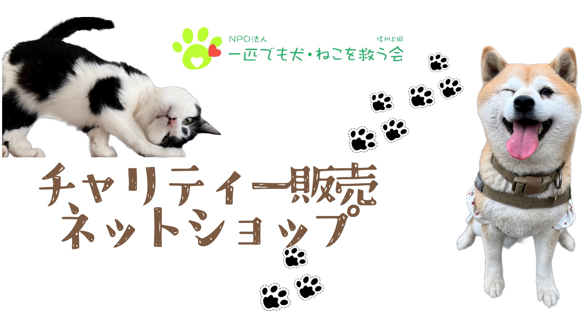 ショップ | NPO法人 一匹でも犬・ねこを救う会