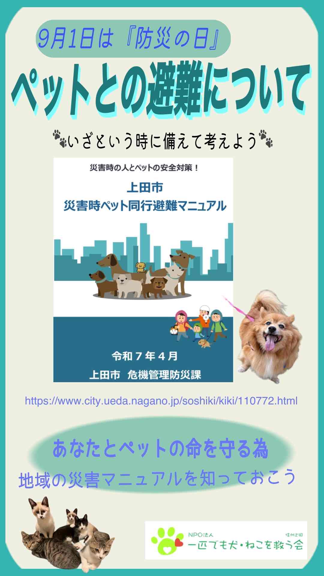 みんなで考えよう | NPO法人 一匹でも犬・ねこを救う会