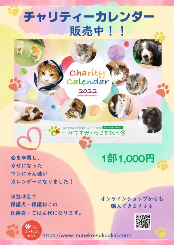 新作カレンダーと 21年10月のご報告 一匹でも犬 ねこを救う会