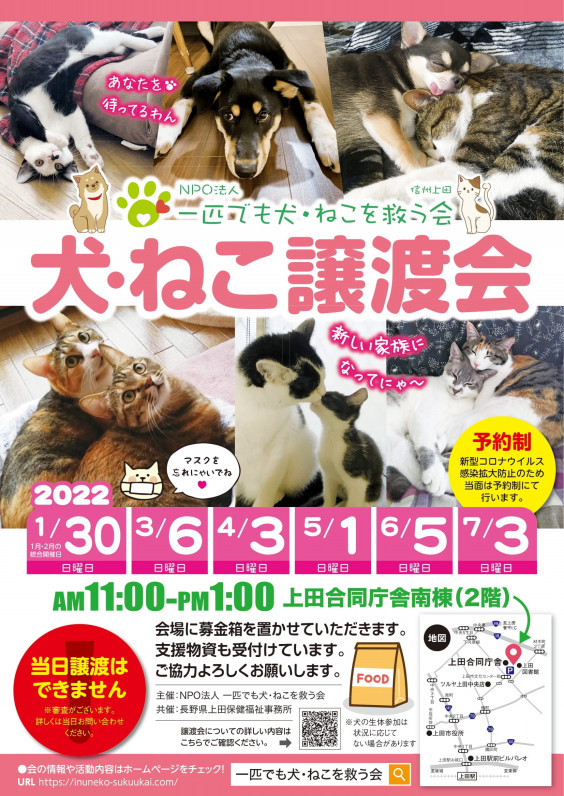 一匹でも犬 ねこを救う会