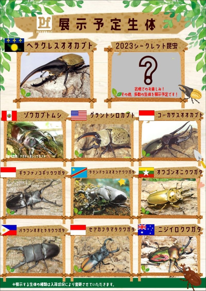 0f2848554c857509aa39af9f7aa602