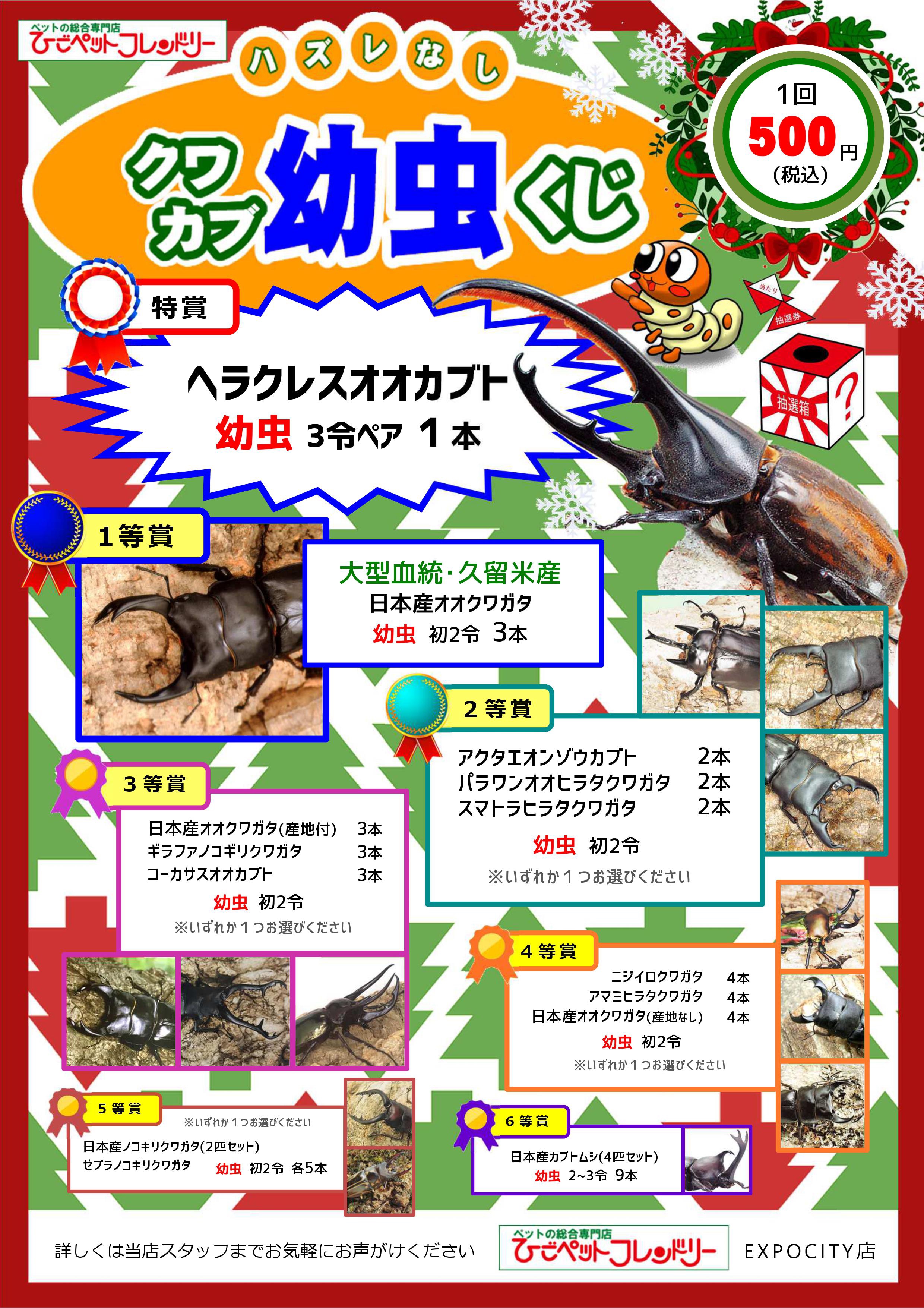 クワカブ｢幼虫｣くじ | Fortech Information