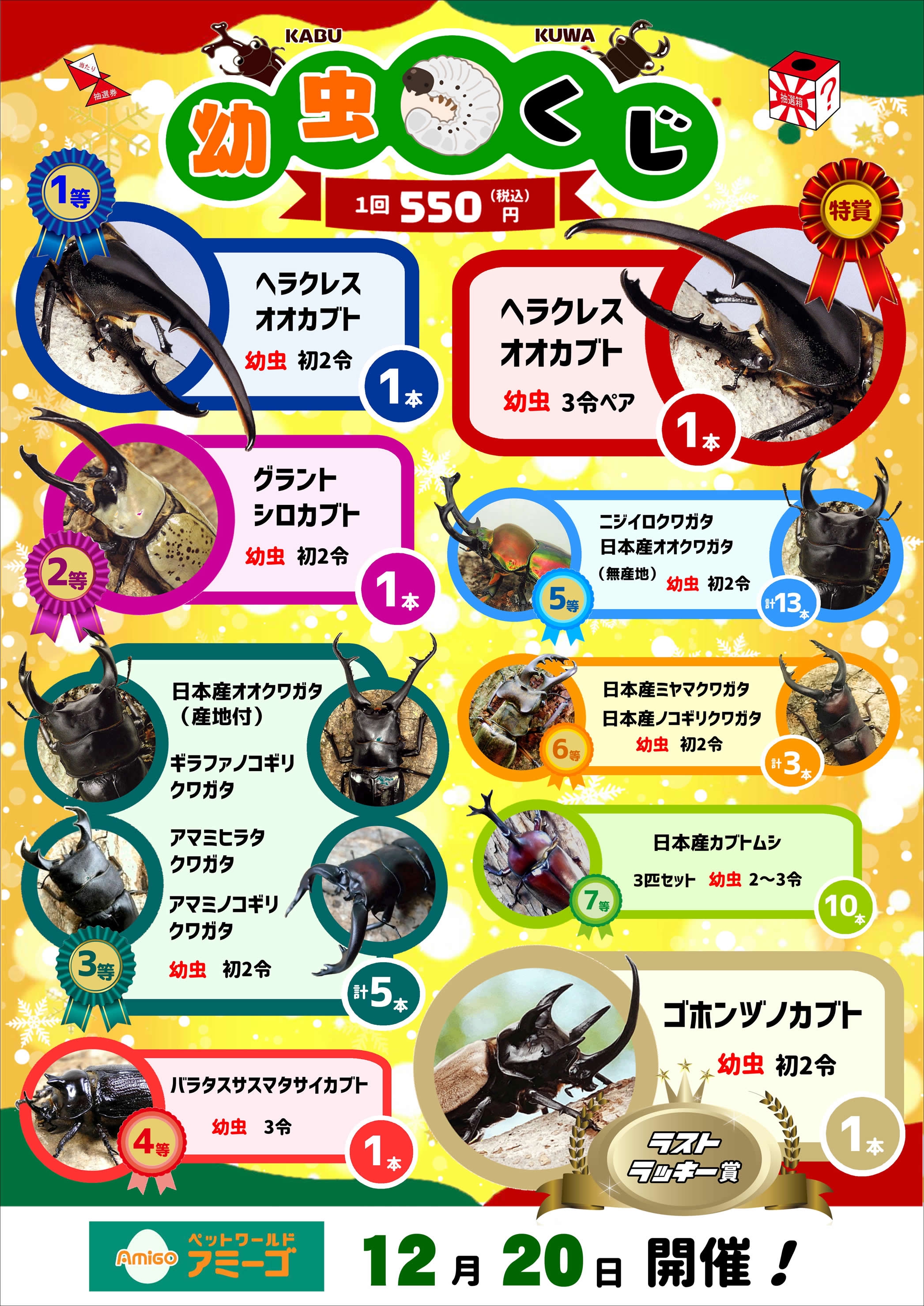 クワカブ『幼虫くじ』 | Fortech Information