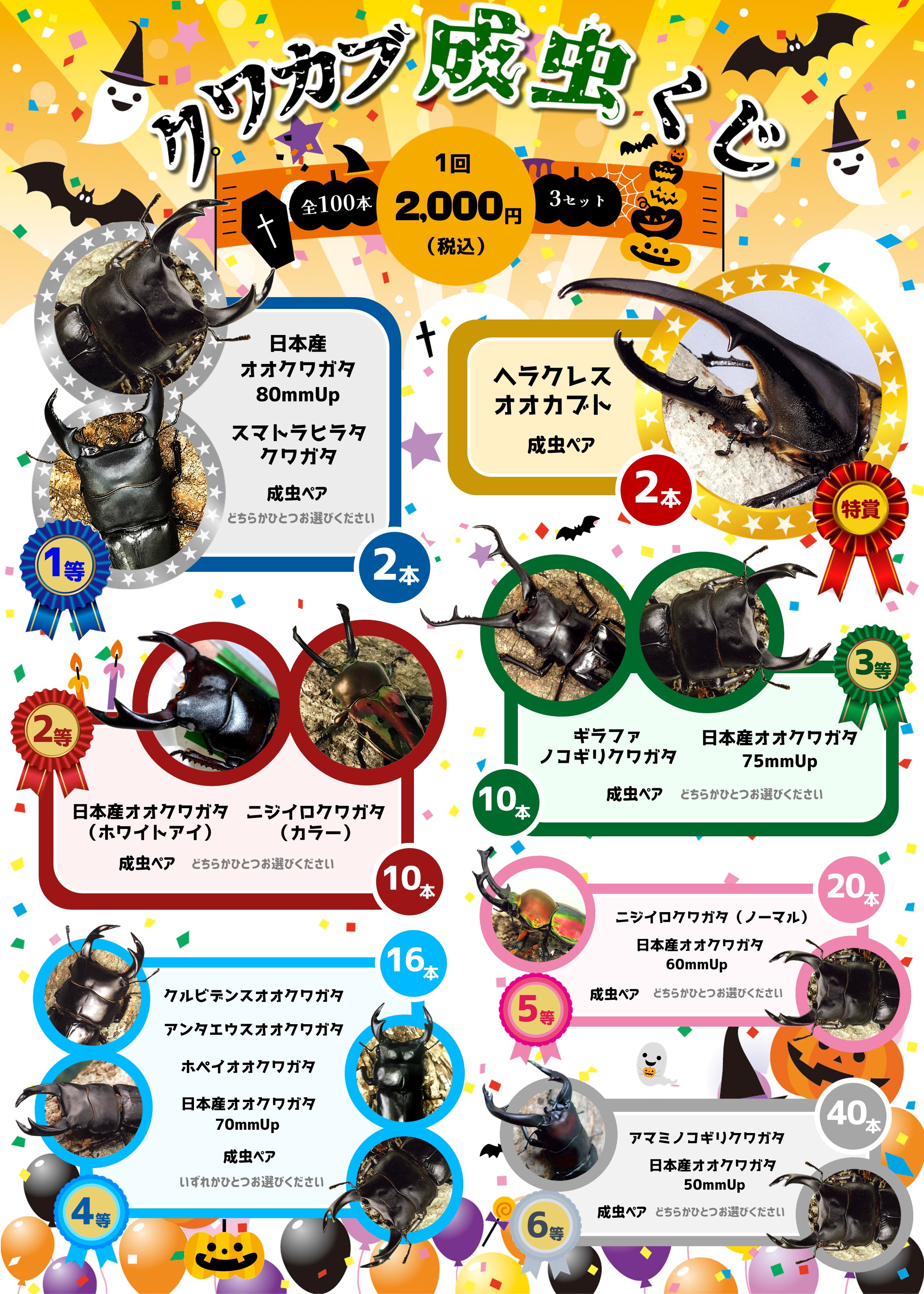 クワカブくじ」開催！ | Fortech Information