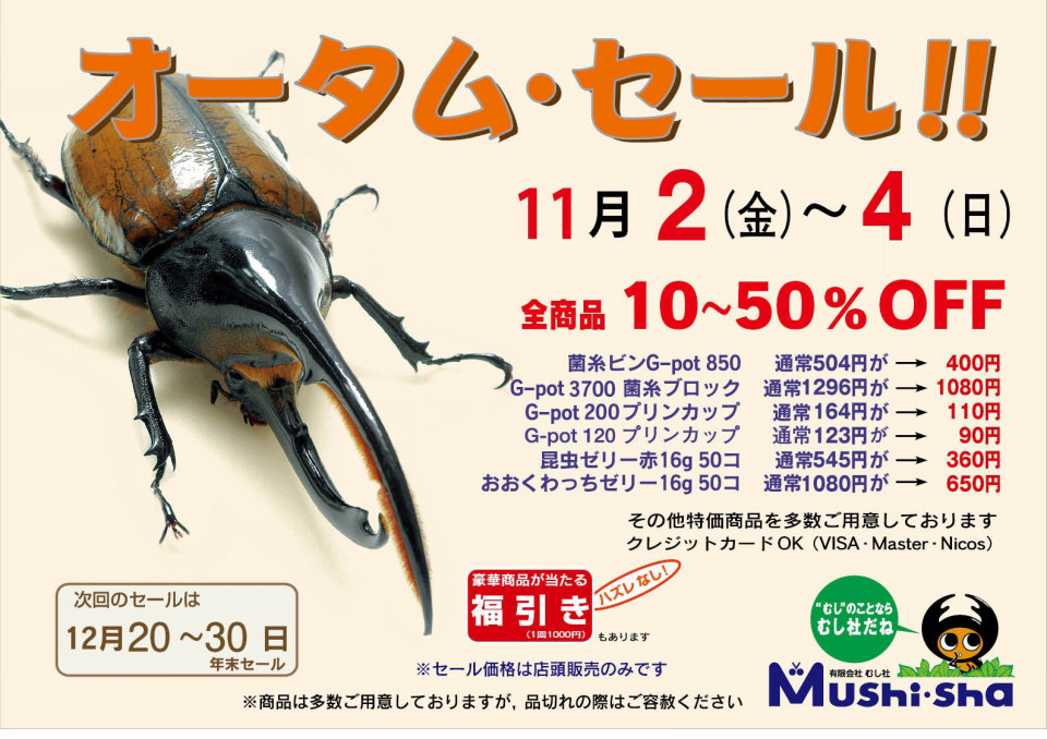 カブトムシ様 オーダー確認用⋈*. きよし