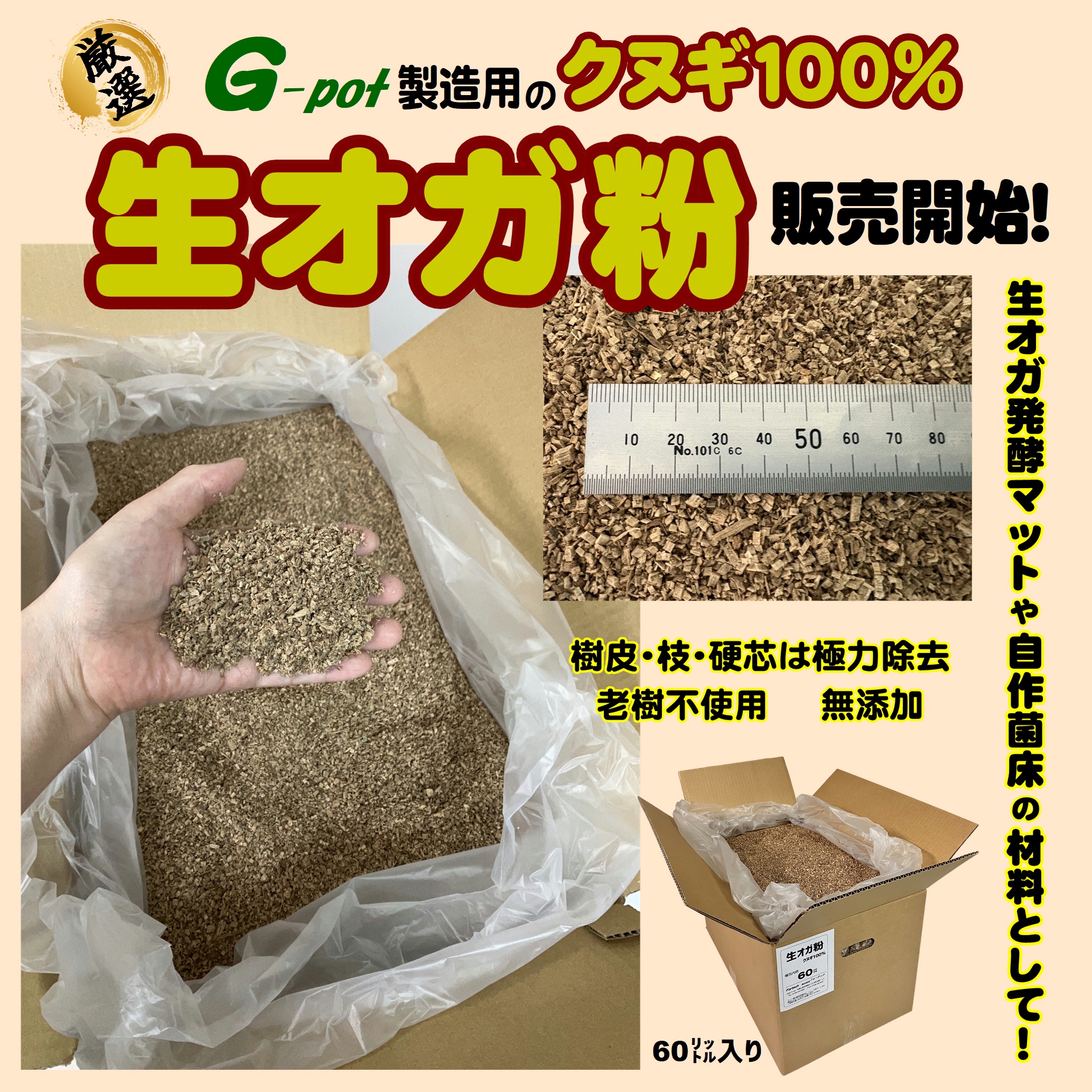 冷やし虫家HI | Fortech Information