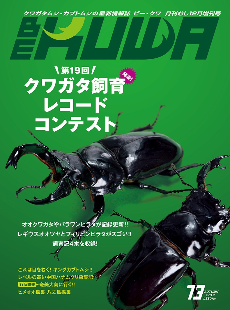 取り寄せ可 くわがたマガジン No-1～26 クワガタ飼育 本・音楽・ゲーム