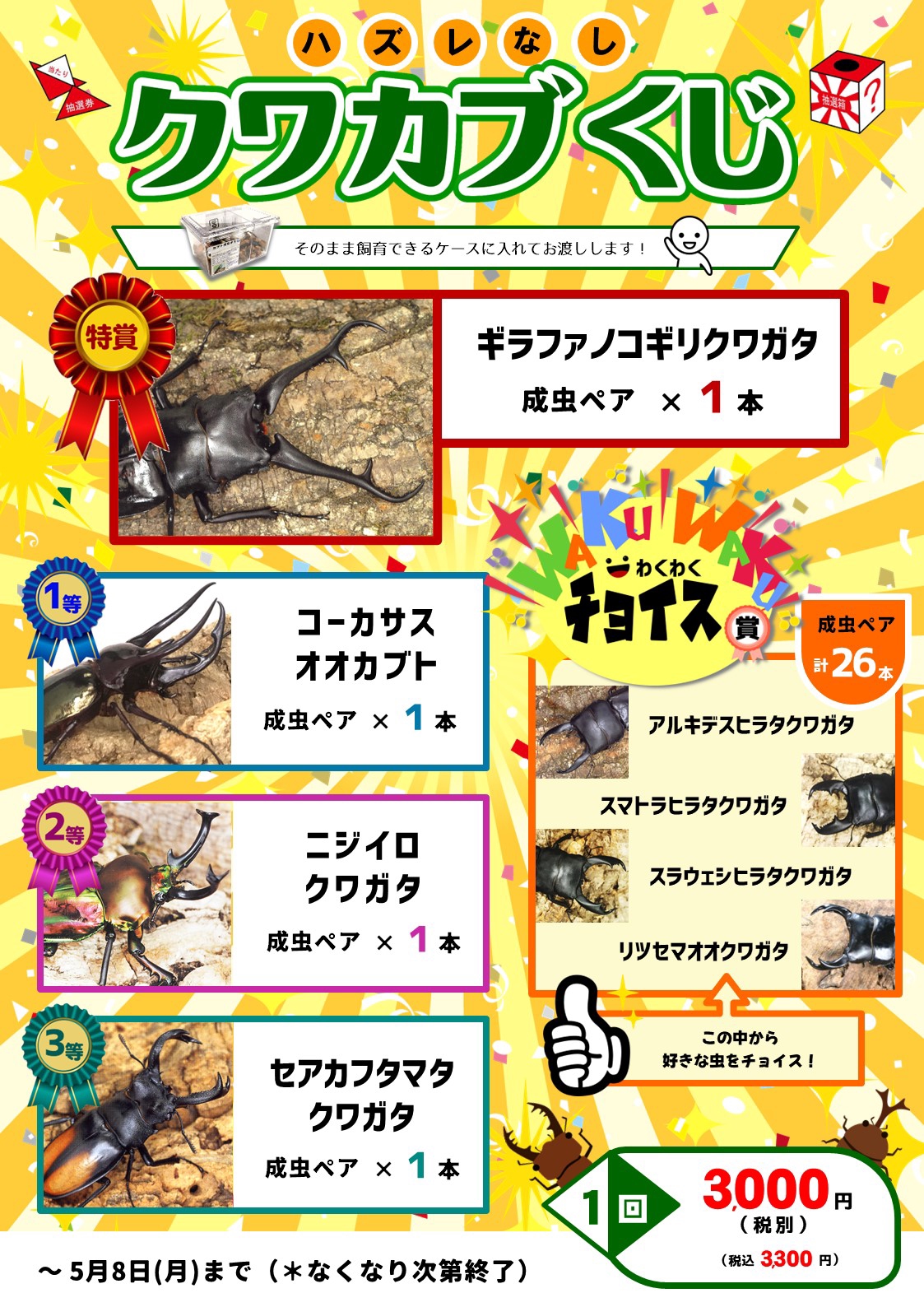 パシフィックグレース【おまとめ1投稿につき100円引き】残り1点! パシフィックグレース【おまとめ1投稿につき100円引き】残り1点!