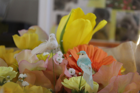 会社概要 空のとびら