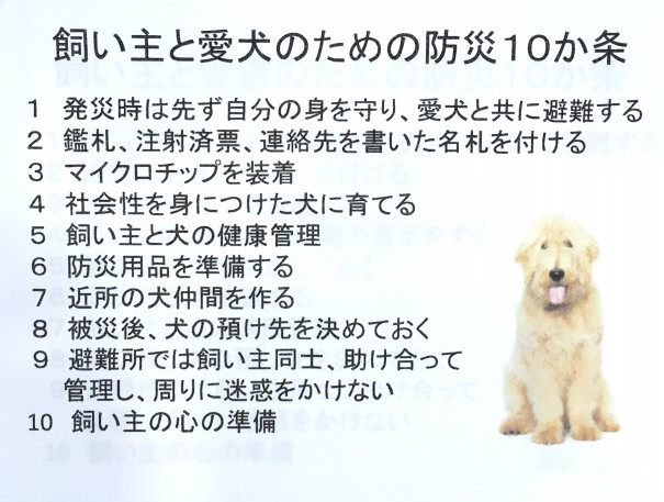 湘南獣医師会 災害時のための心構え のっぽ動物病院 鎌倉市大船駅 トリミングペットホテル 年中無休日曜祝日診療 ご案内 ブログ