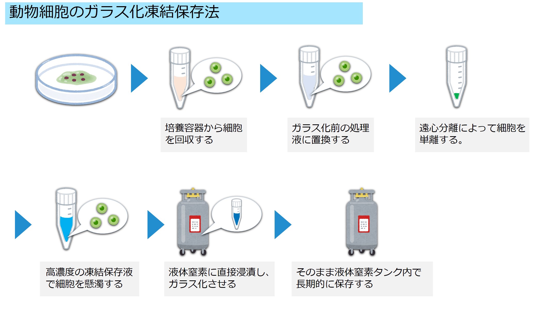 氷晶を作らせない：ガラス化凍結保存法 | CryoNet