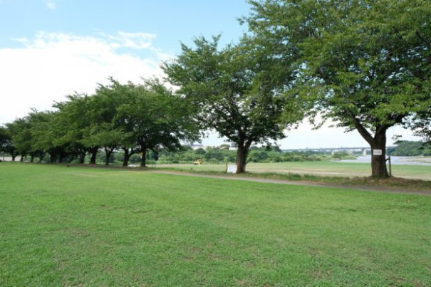 厚木 相模川三川合流地点河川敷 q太郎神奈川湘南店 厚木 相模川三川合流地点河川敷 q太郎神奈川湘南店