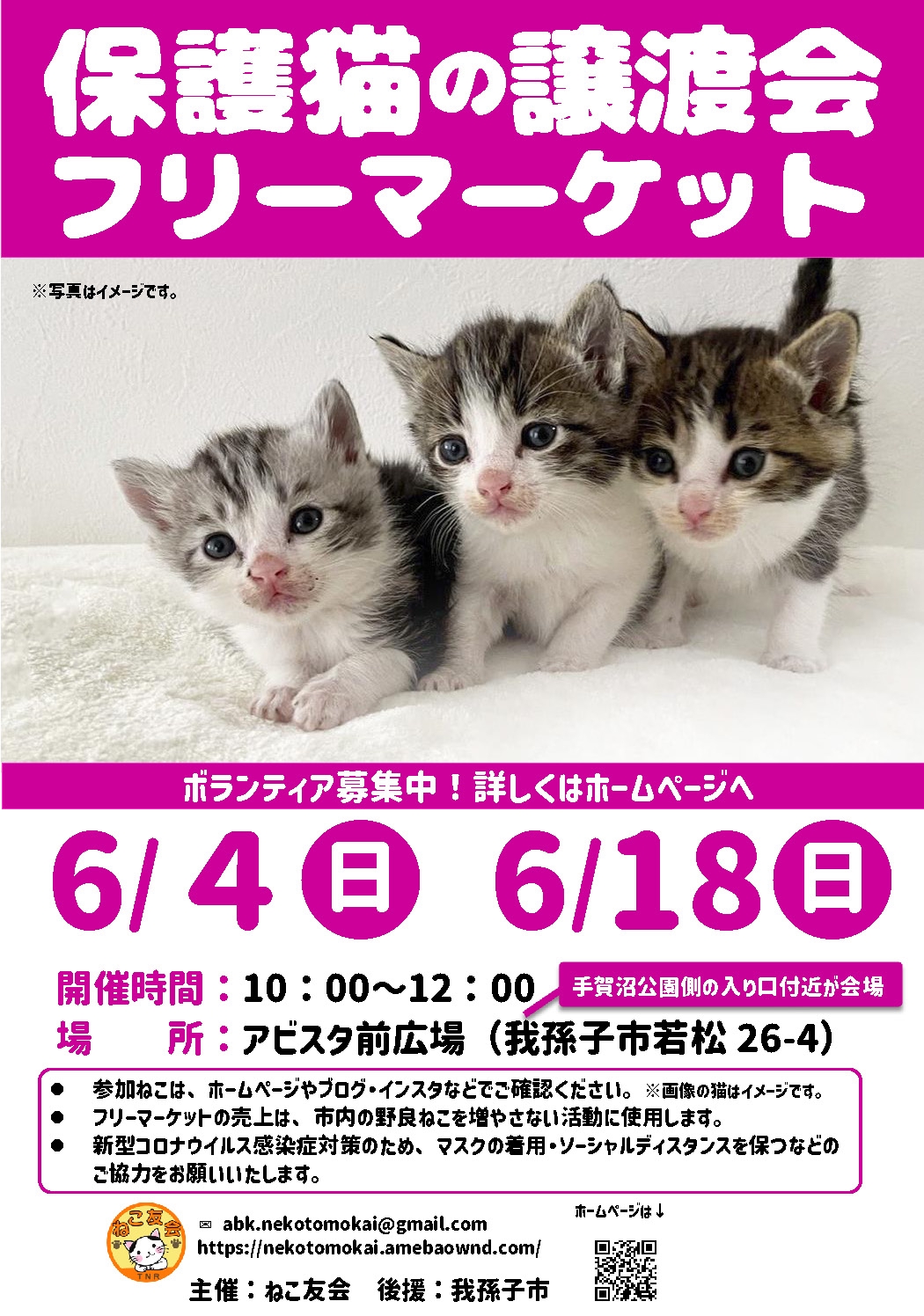 2023年6月4日（日）保護猫の譲渡会＆フリーマーケット開催します