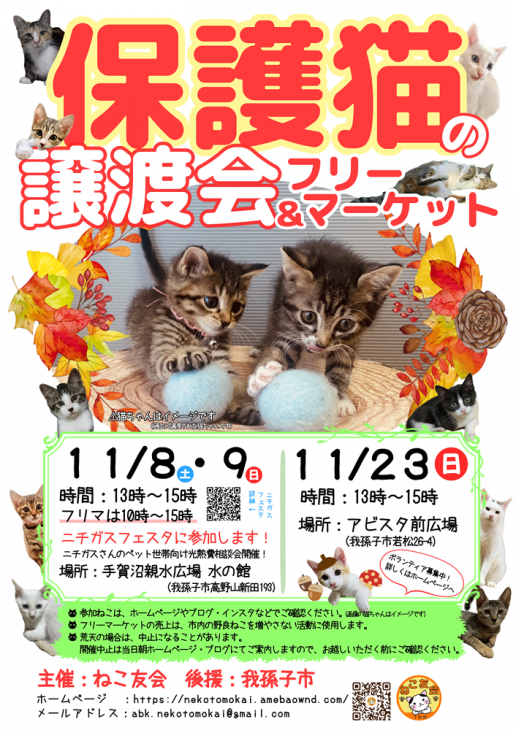 4997f873563bd989ad4547bea37127