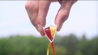 ヒゲダンスのすすめ 今日もほんわか