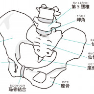 ヒゲダンスのすすめ 今日もほんわか ヒゲダンスのすすめ 今日もほんわか