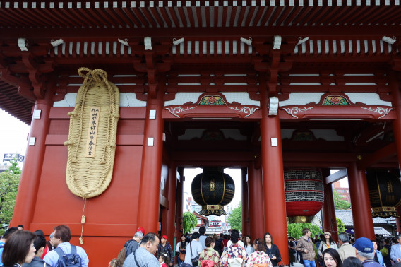 東京散策 2日目 浅草寺 日々椿 Tsubaki
