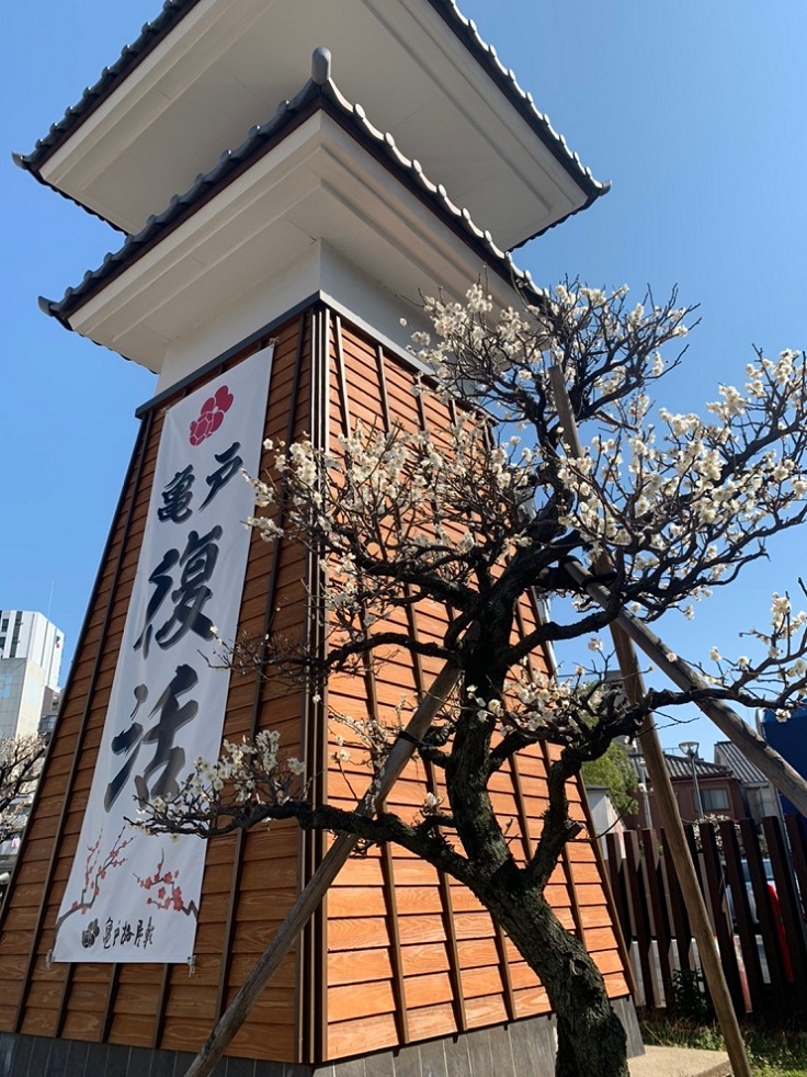 ZIPANG-5 TOKIO 2020 日本神話をテーマに街おこし！ 人情の街