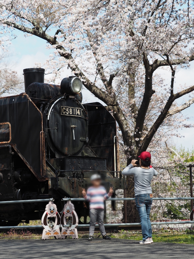 陸羽東線シゴハチ歴史保存会・陸羽東線シゴハチの里ＰＲＯＪＥＣＴ