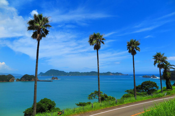 宮崎ドイツ語学院とは 宮崎ドイツ語学院