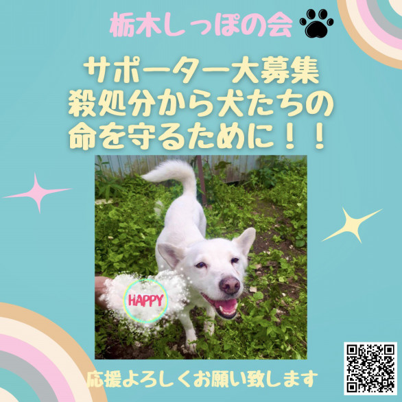 栃木しっぽの会