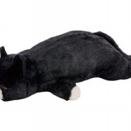 レアモノ情報が満載 レアレポ Com