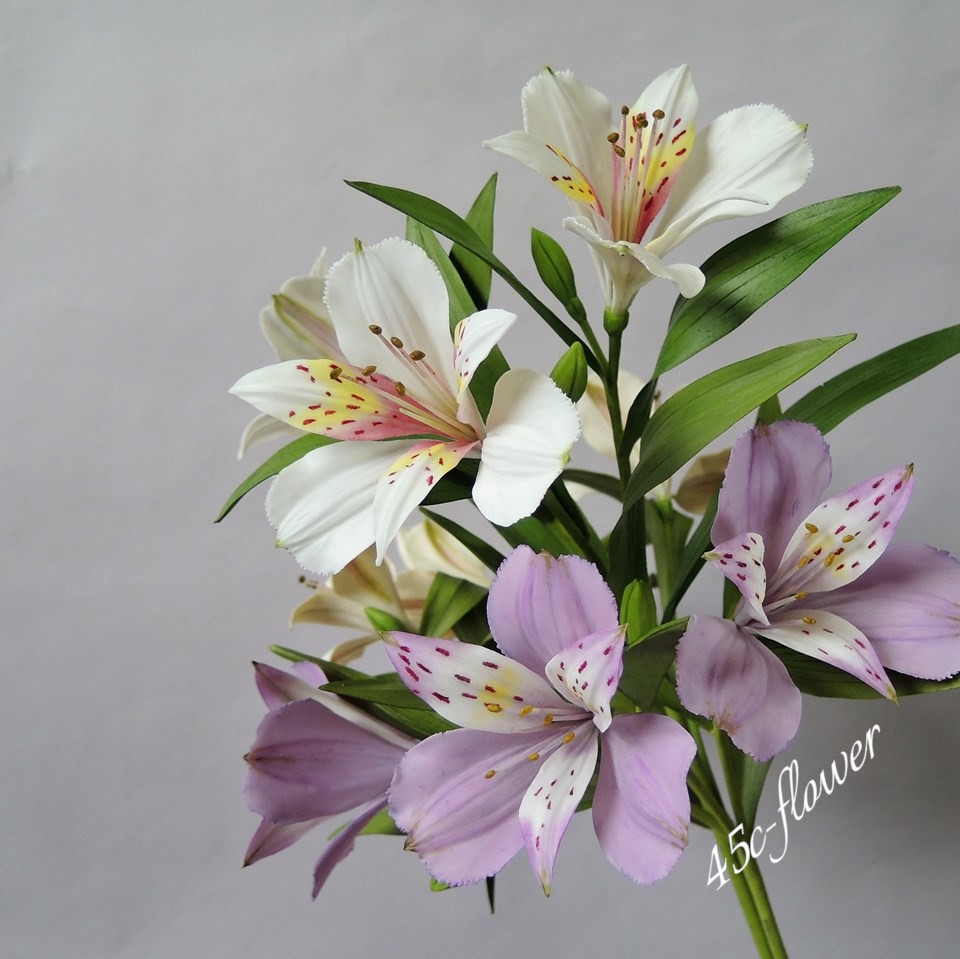 粘土の花 | 粘土でつくる花アトリエ