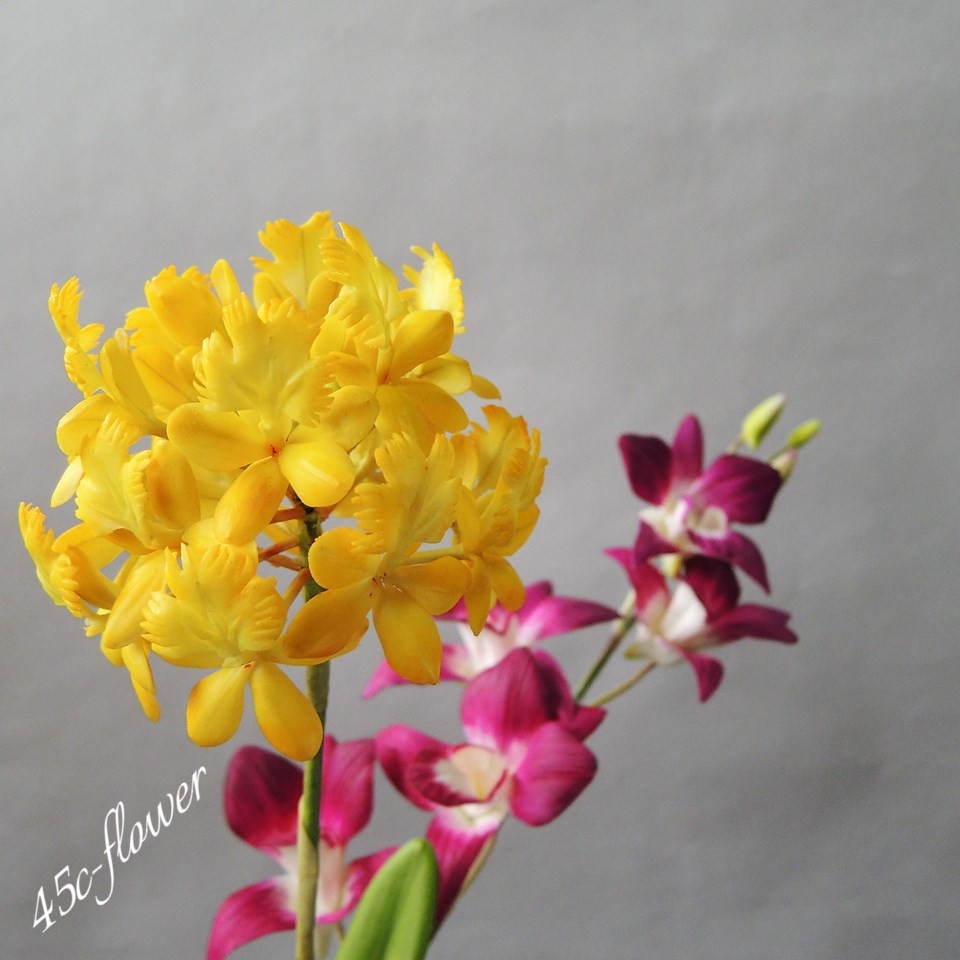 粘土の花 | 粘土でつくる花アトリエ