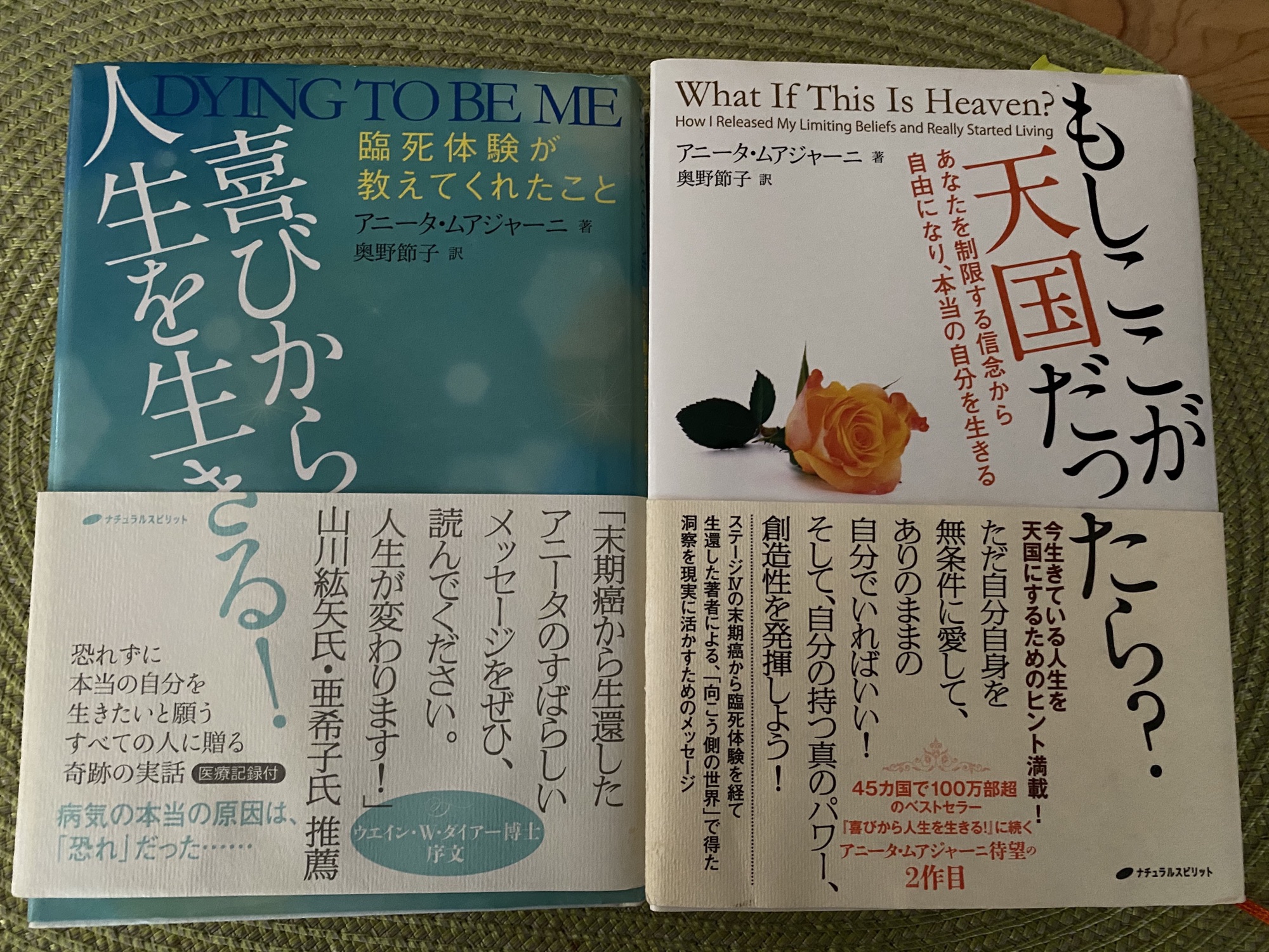 アニータムアジャー二さんの本は宝物 美心竜