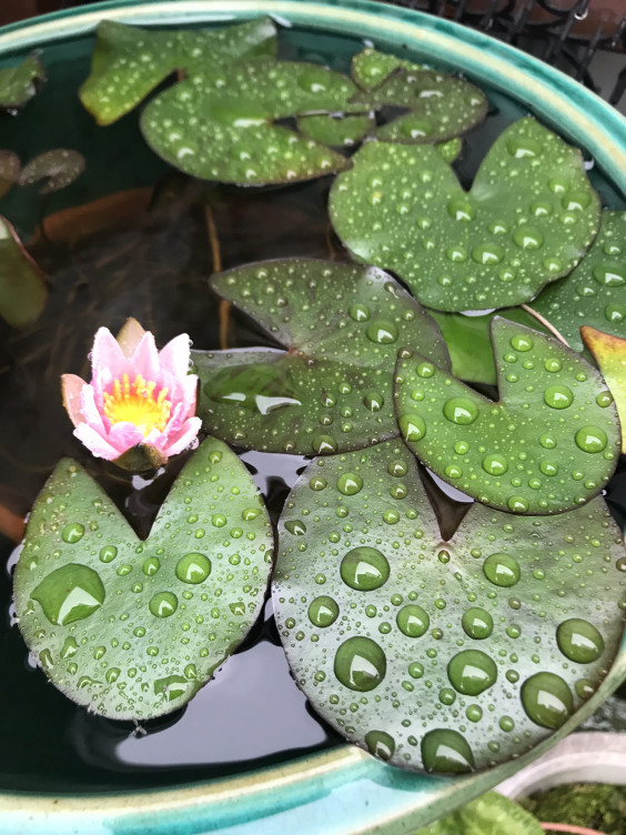 おすすめスピリチュアルな本 Q A スピリチュアルsoul Ct Heart Station Mk8roomsブログ