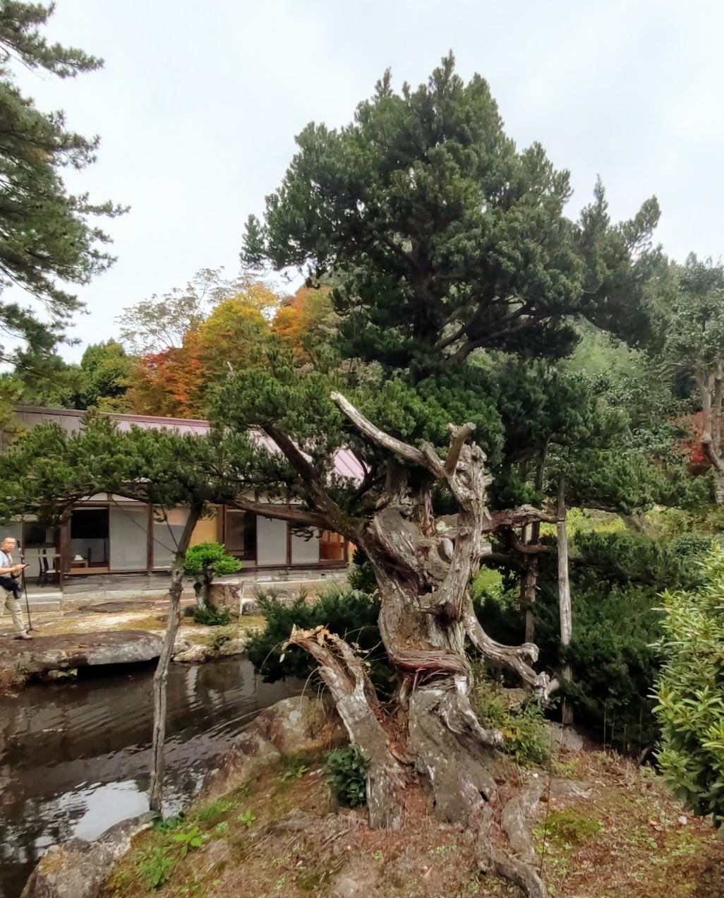 卜蔵（ぼくら）庭園」 島根県 / 