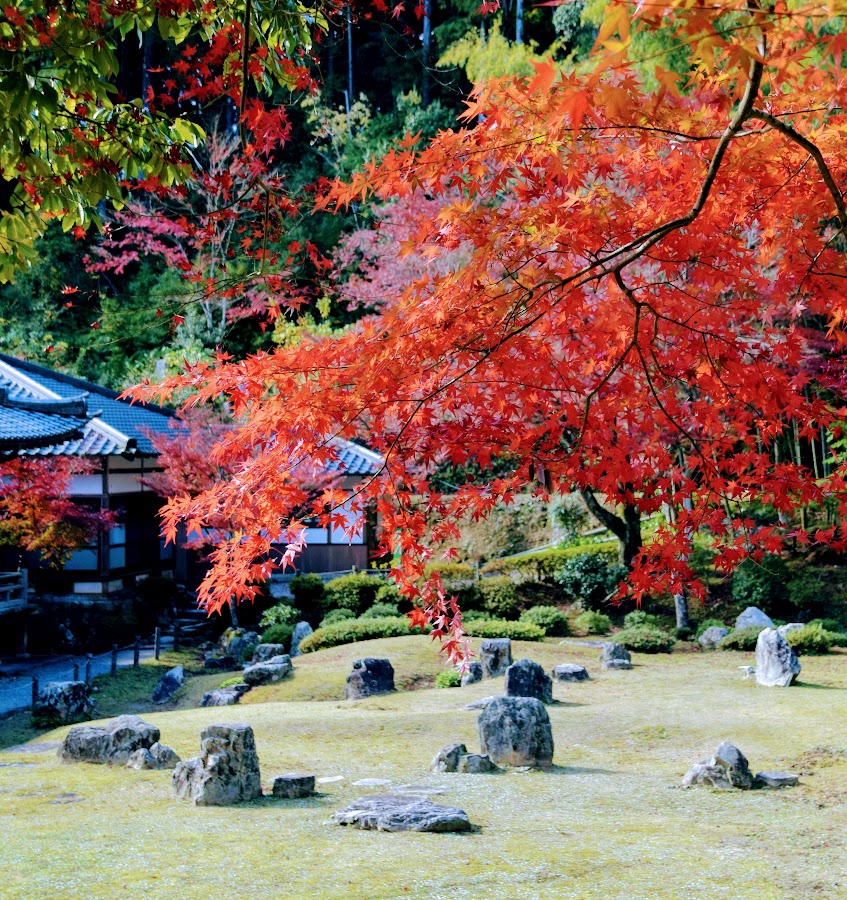 重森三玲・MireiShigemori | 日本庭園 The japanese gardens