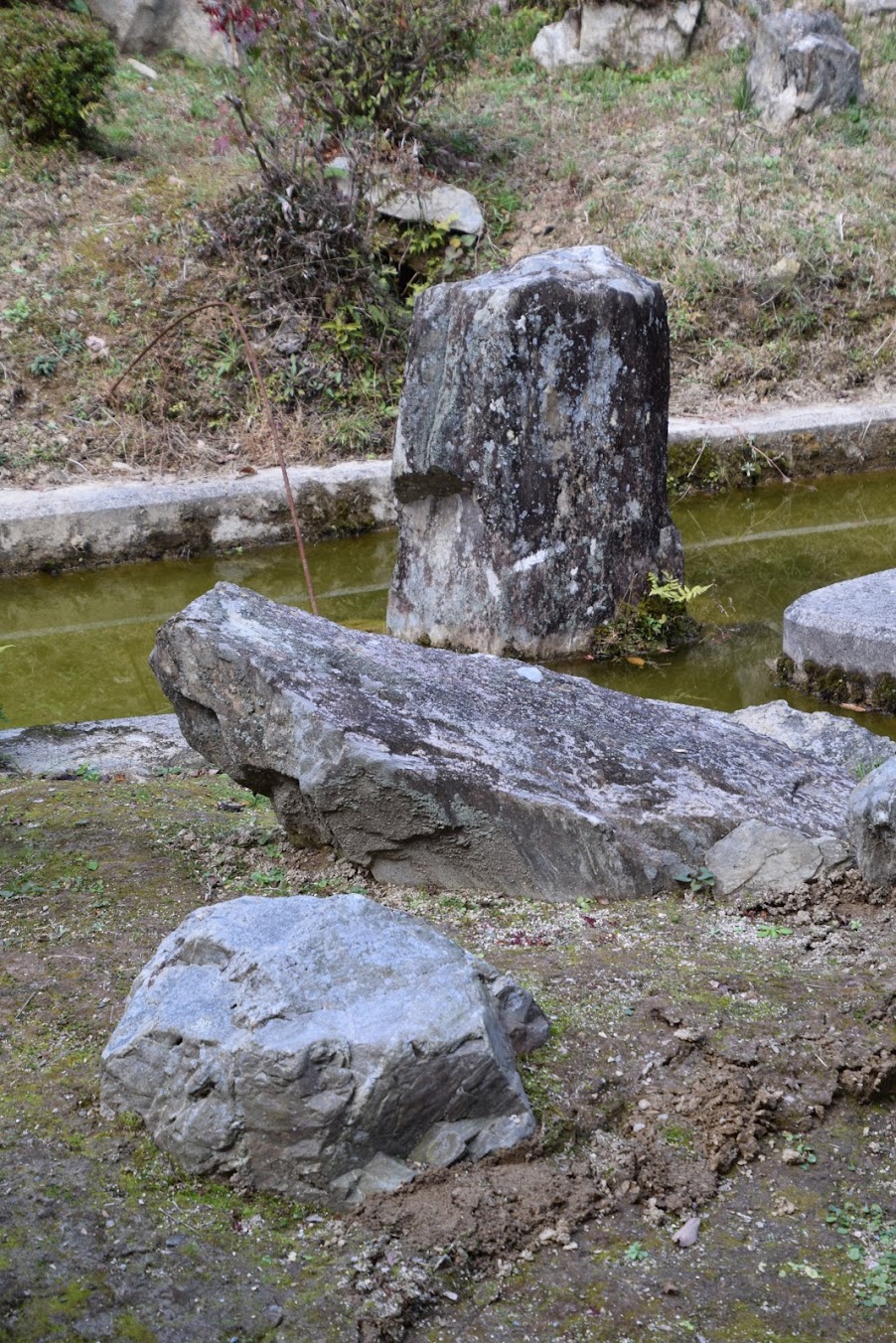 日本庭園 The japanese gardens