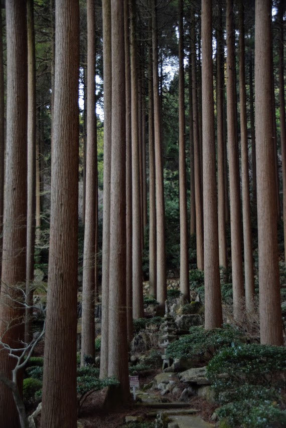 霧島国立公園/昭和10年/フィルムの如く吾人の眼前に展開し情趣