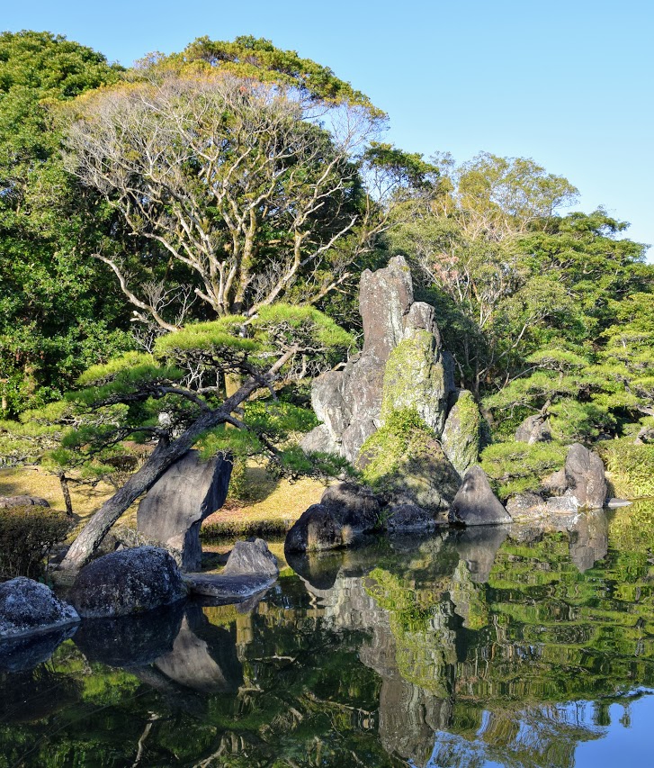 稀少】鎌倉の花/写真 水沢清之/文 大貫昭彦・岩崎保/真珠書院