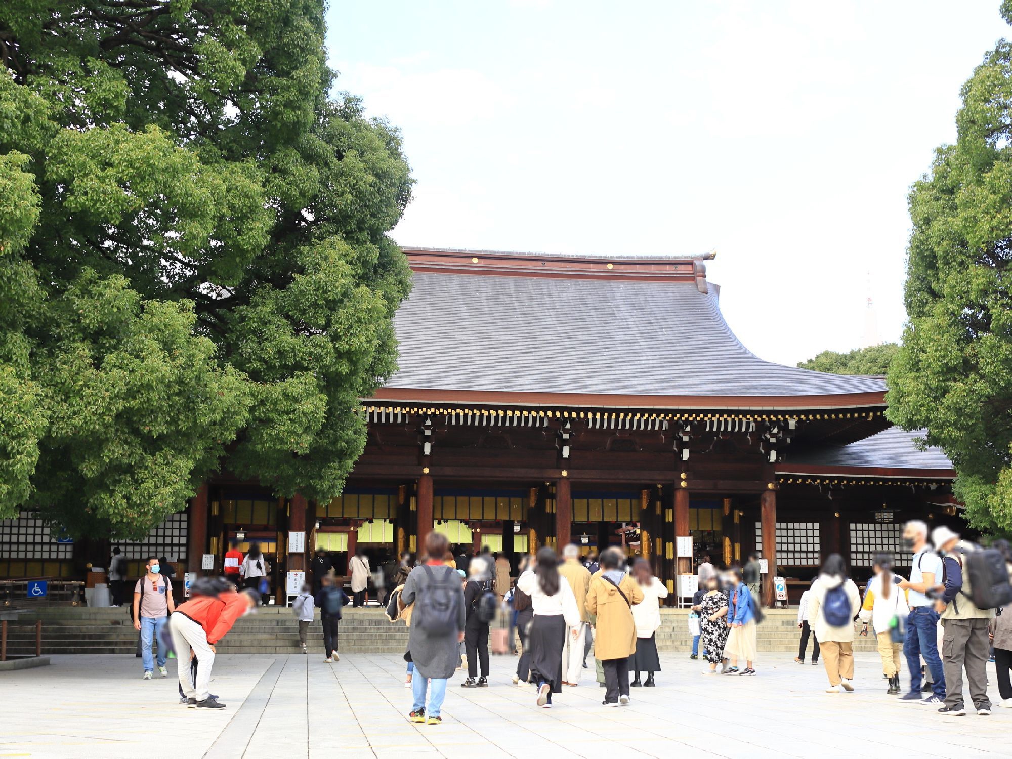 明治神宮 | 食道者 平蔵