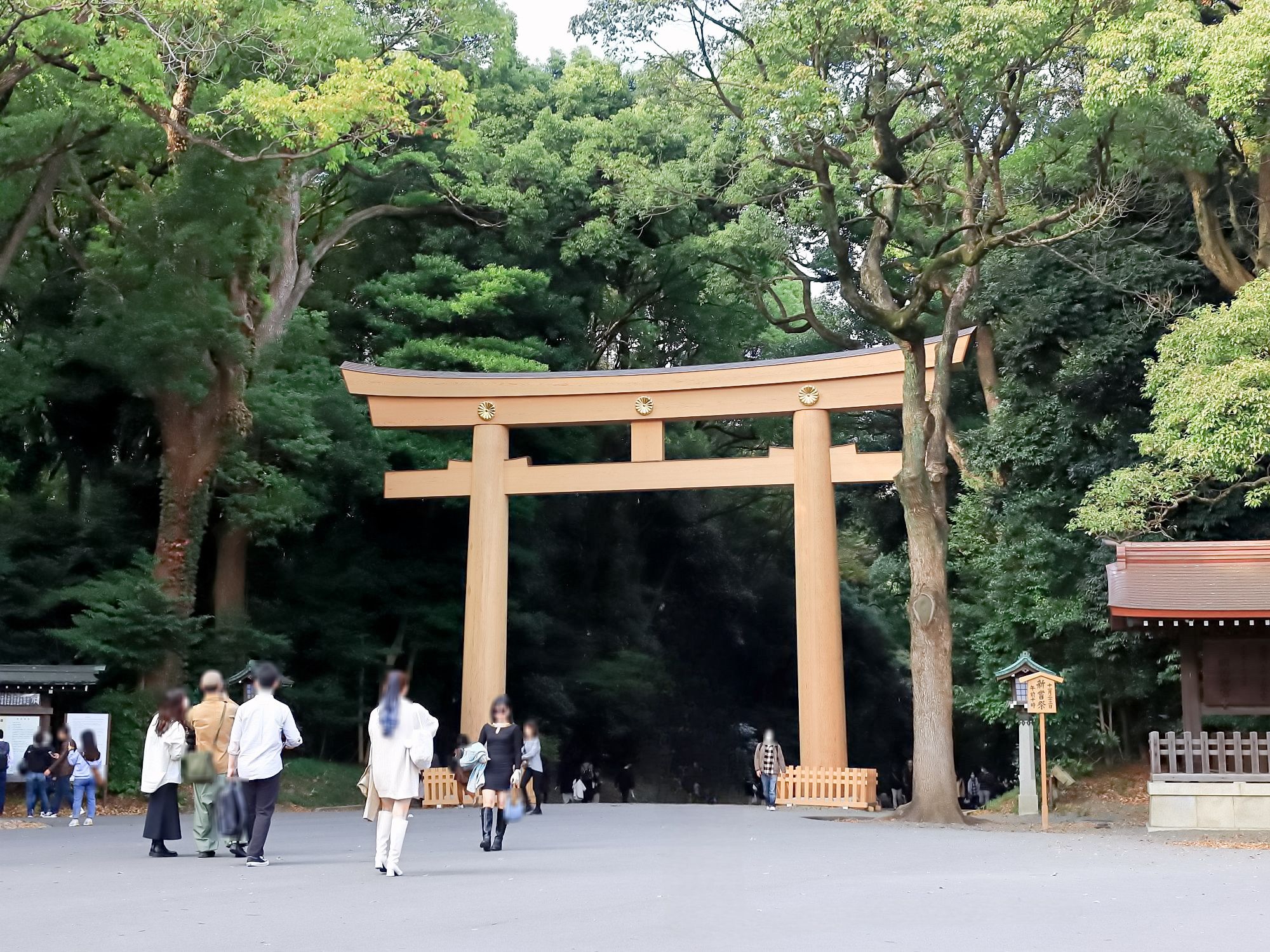明治神宮 | 食道者 平蔵