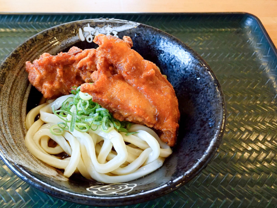 はなまるうどん 高松中央インター店 讃岐うどん 平蔵