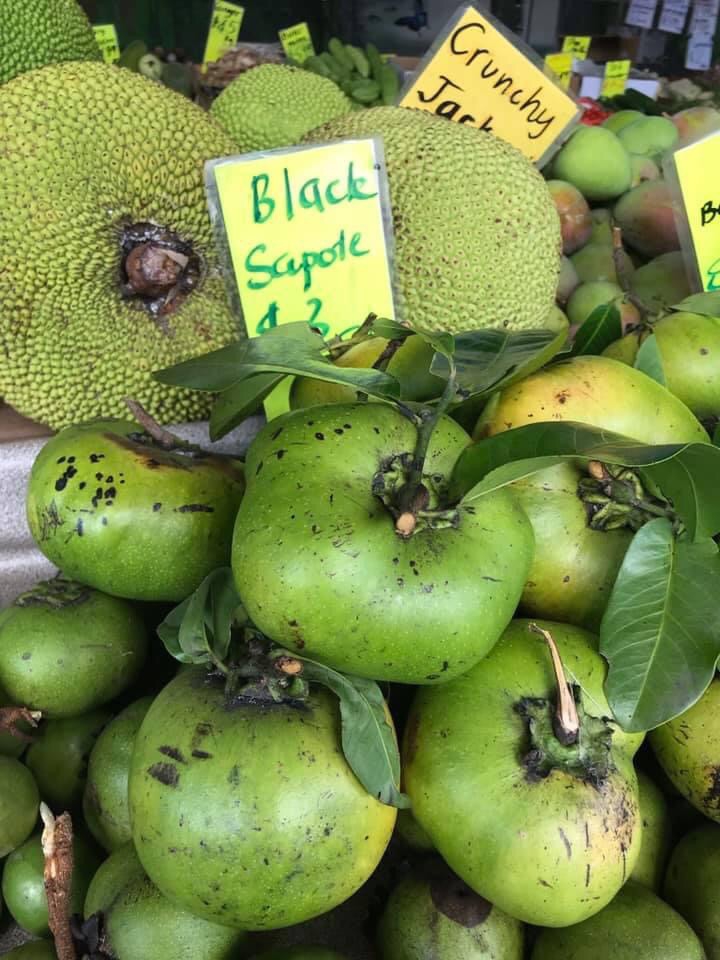 Black Sapote💚 | ドルフィンツアーズ ケアンズ オーストラリア