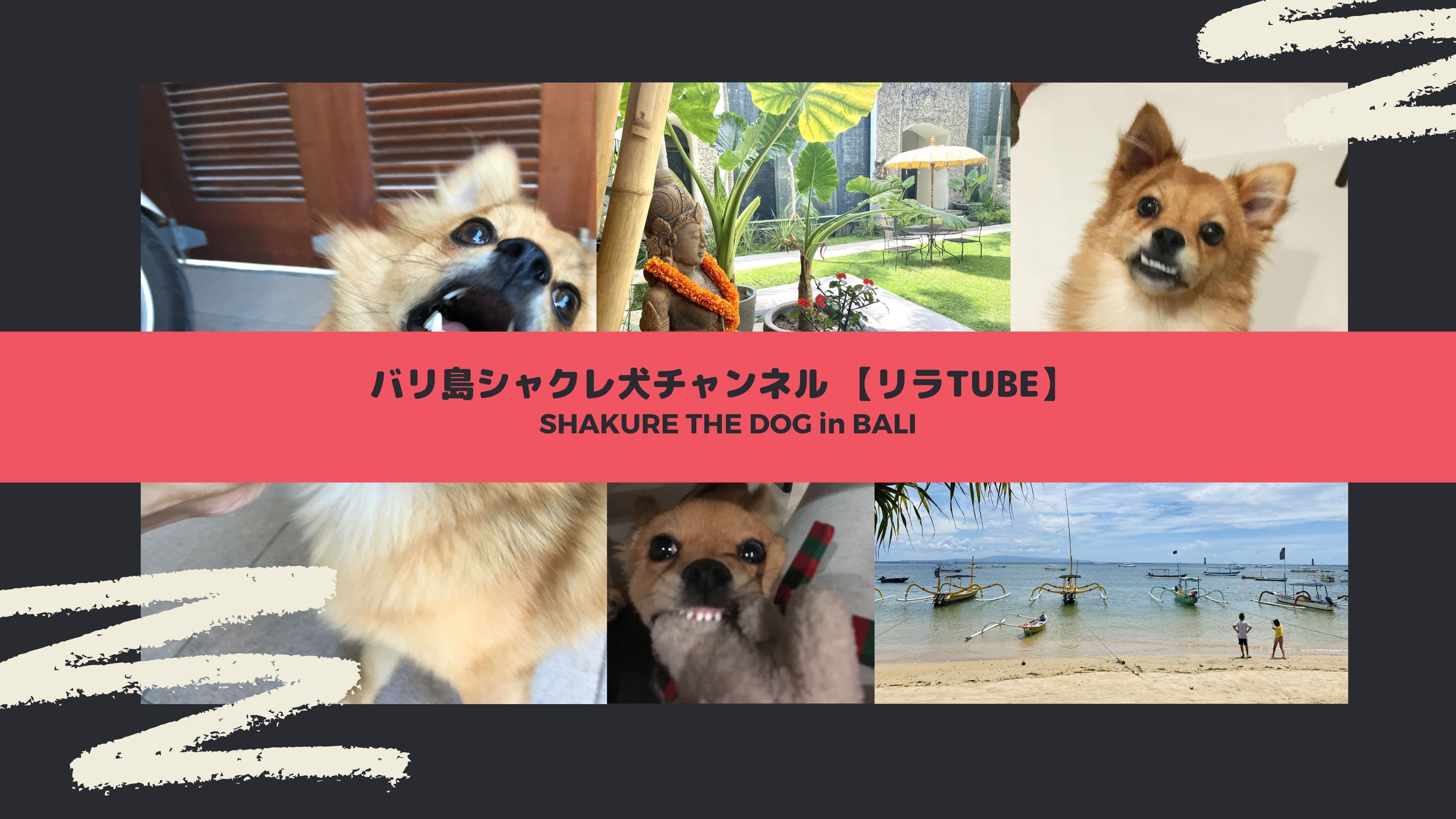 シャクレダヨ バリ島シャクレ犬チャンネル リラtube が出来マシタ Bali Allure バリ島から発信するwebマガジン