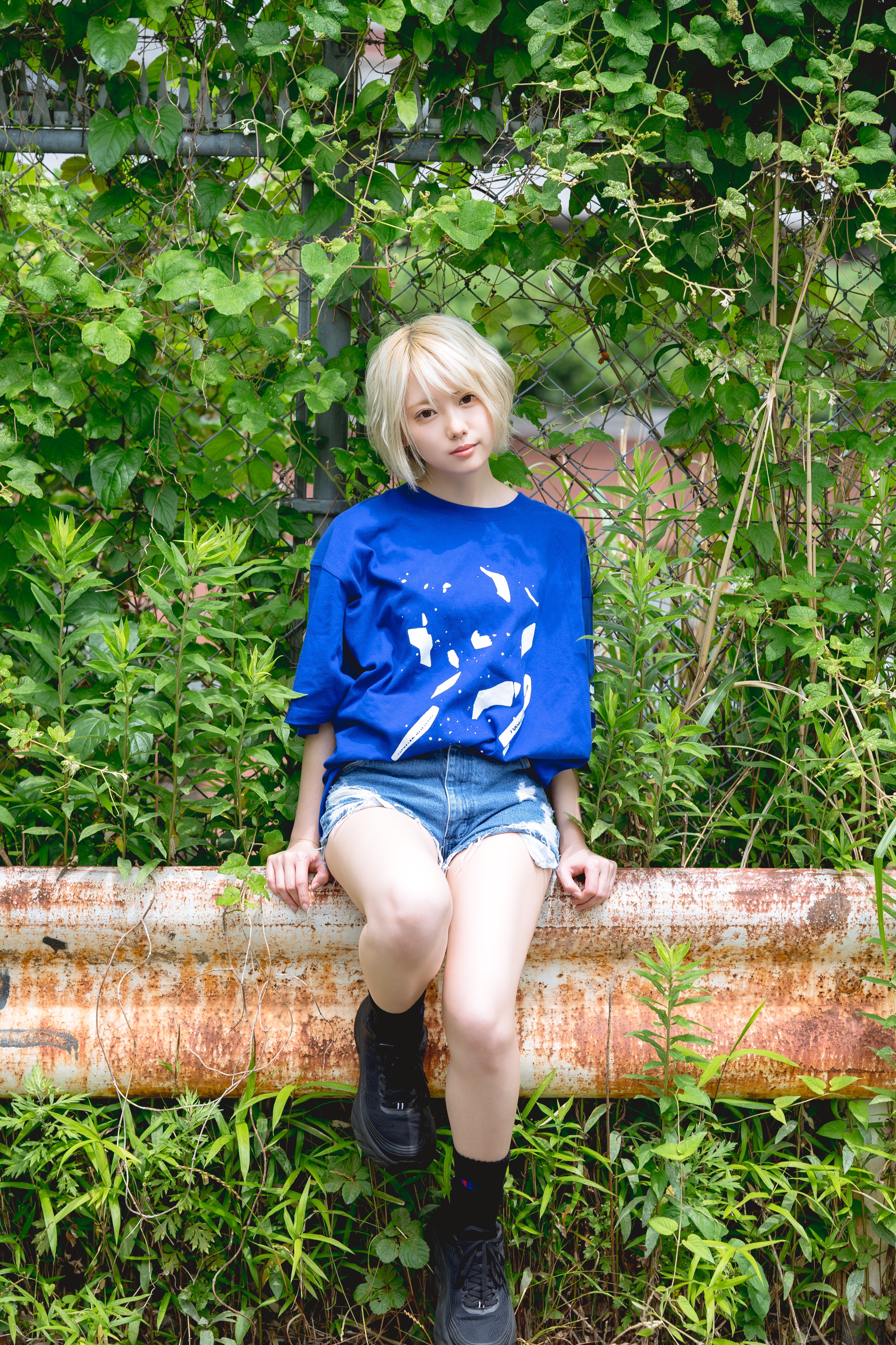 こころです！ SR コード2434 天宮こころ 販売 | [WXDICP-01] にじさんじ DIVA