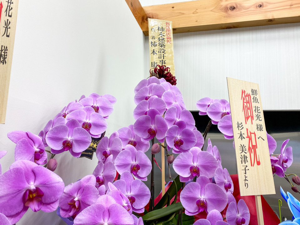 鮮魚花光さま明日オープン Kakimoto Architect S Office