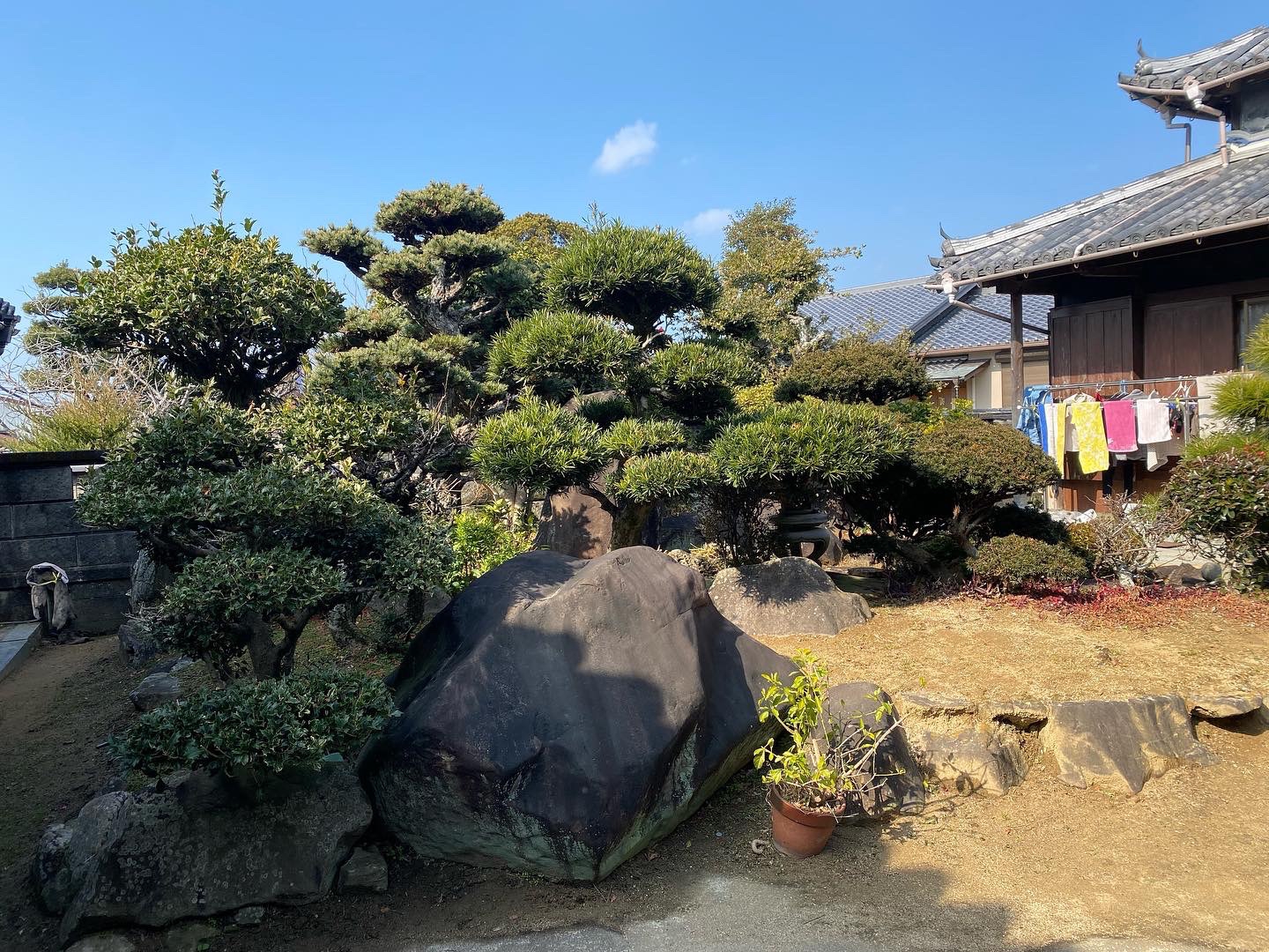 庭の石欲しい方いませんか🌱 | KAKIMOTO Architect's office