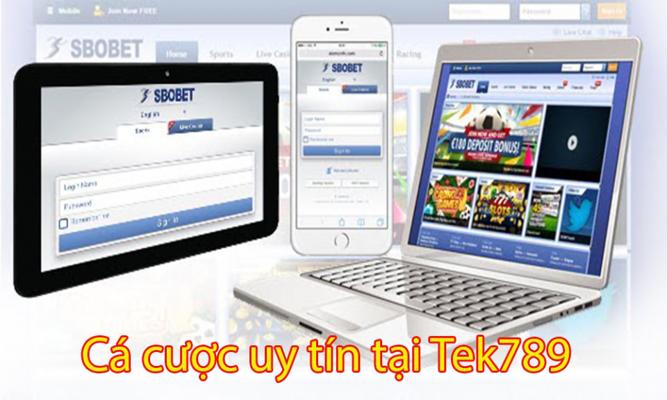 Tek789 Link Vao Sbobet789 Mới Nhất 2021 Bongxanh S Ownd