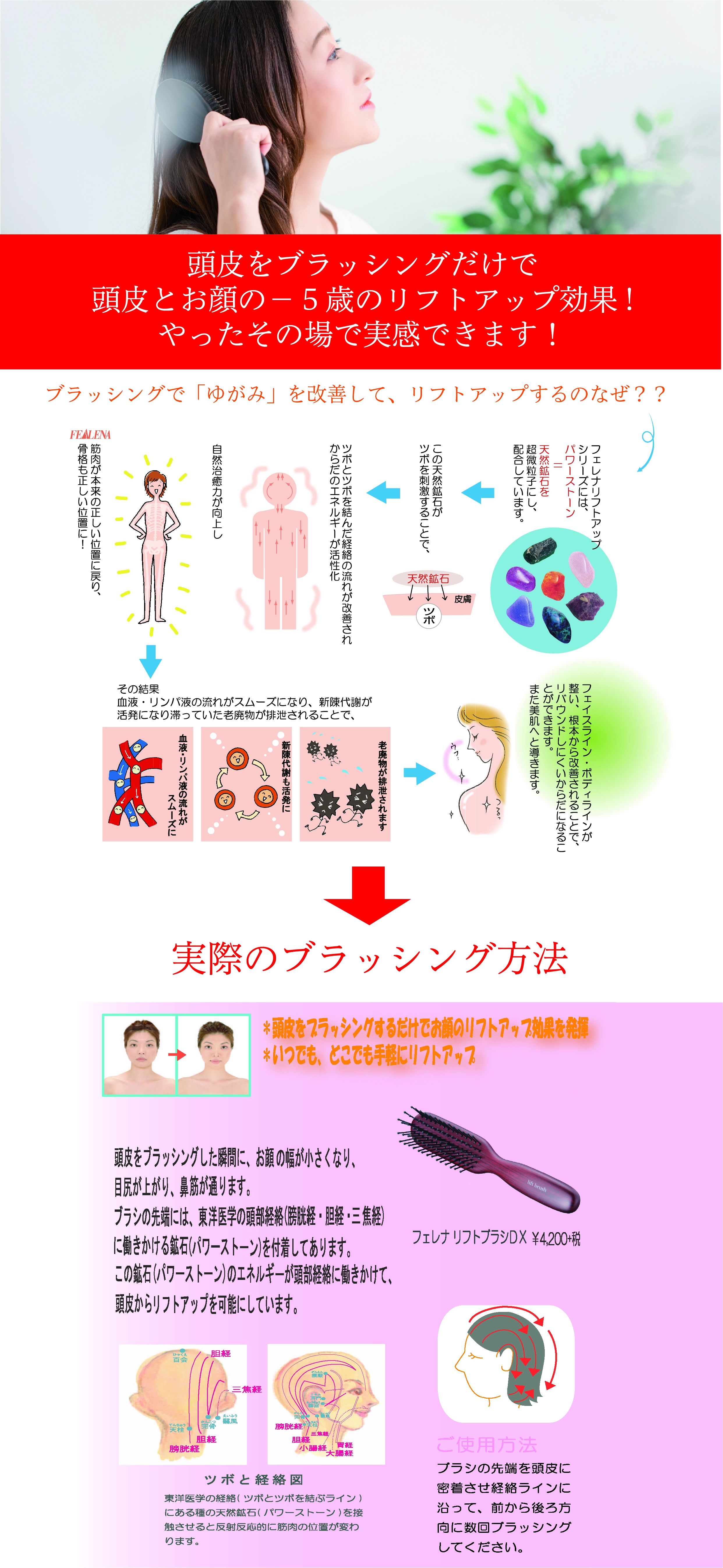フェレナリフトブラシ | プリマプリート名駅店