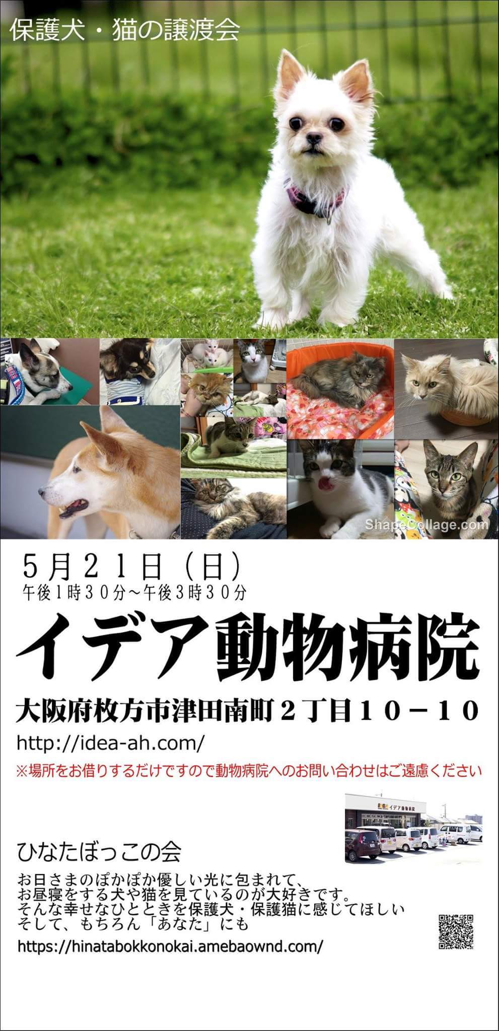 5月21日 ひなたぼっこの会お知らせ ひなたぼっこの会