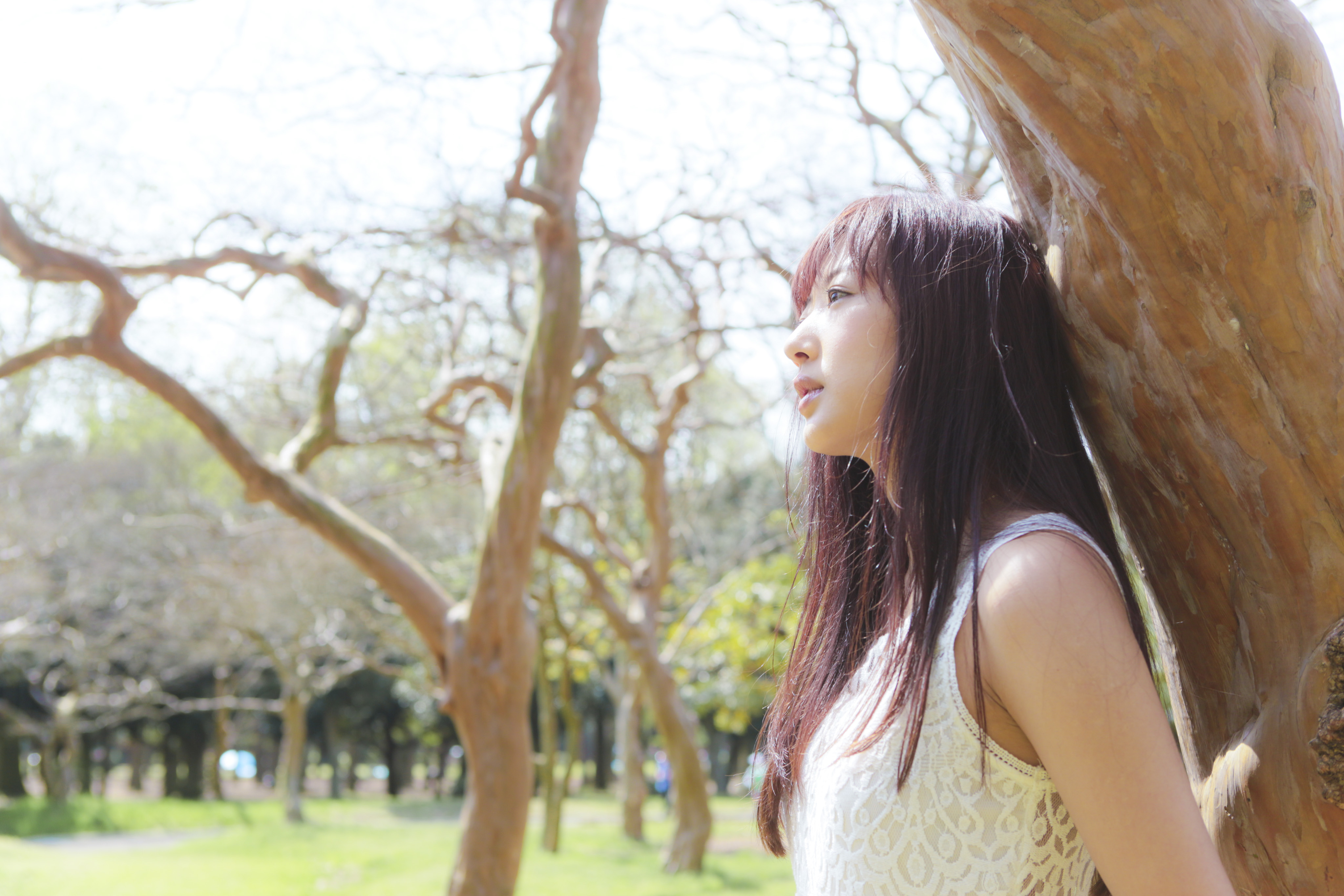 Profile | 小倉遥OFFICIAL WEB SITE